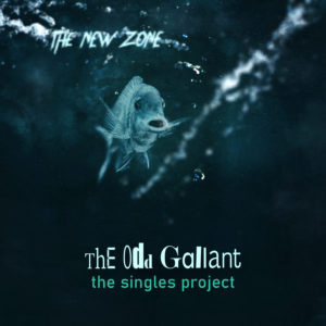 The Singles Project cover (The New Zone)