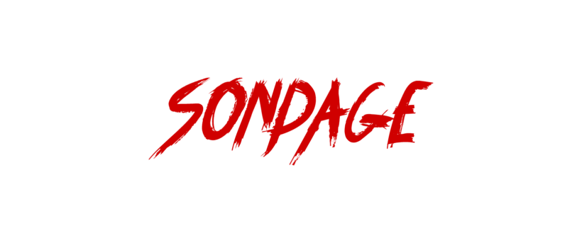 Logo Sondage